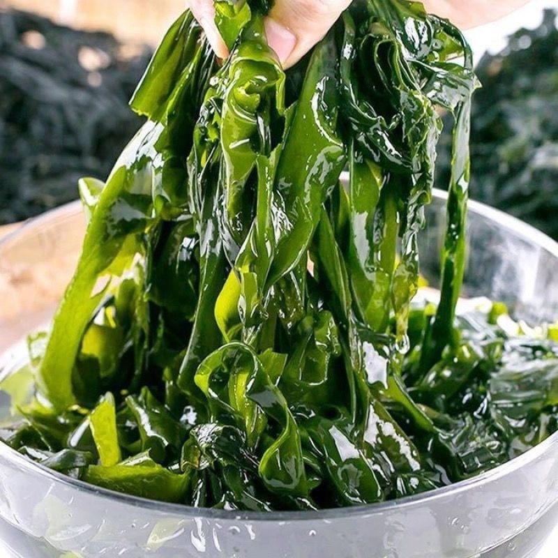 辽宁精品裙带菜鲜嫩不碎产地直供质量保证欢迎咨询