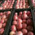 【万亩果园】山西运城临猗坡上冰糖心红富士苹果大量上市中