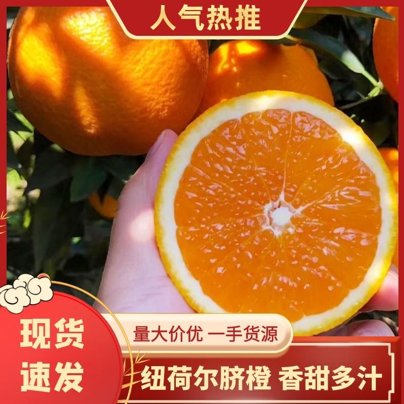 【纽荷尔脐橙】湖北宜昌纽荷尔规格齐全电商市场商超可供