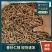 春砂仁根干货，无硫，产地直发，品质保证，欢迎电商合作洽谈