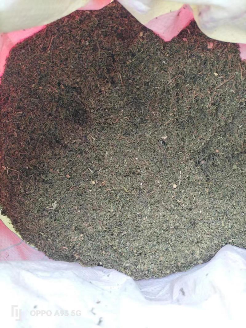 青蒿中药材批发野生无添加量大优惠欢迎咨询采购