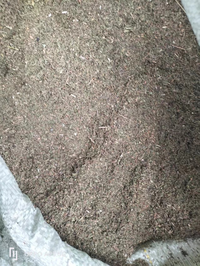 青蒿中药材批发野生无添加量大优惠欢迎咨询采购