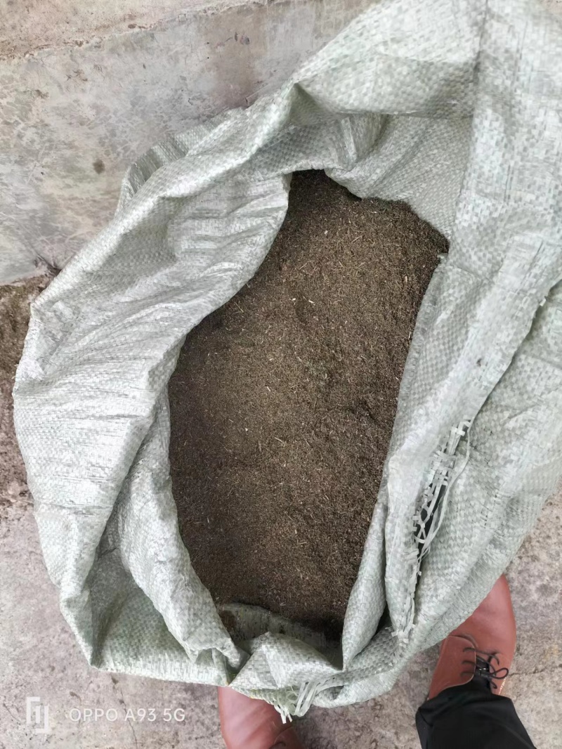 青蒿中药材批发野生无添加量大优惠欢迎咨询采购
