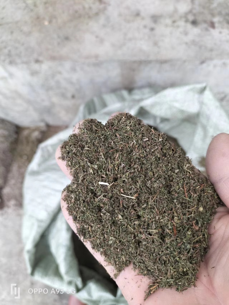青蒿中药材批发野生无添加量大优惠欢迎咨询采购
