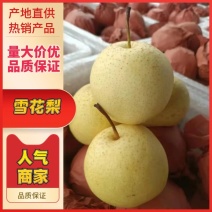 《山西雪花梨》精品雪花梨/山西梨/对接抖音快手多多电商
