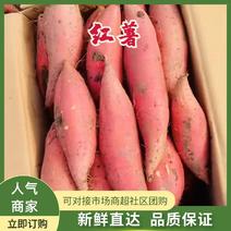 安徽红薯规格齐全一手货源质量保证全国发货