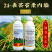 24表芸苔素内酯0.01%含量调节生长保花保果提肥增效