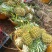 【推荐】广东菠萝种植基地一手货源价格稳定常年全国各地发货