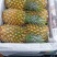 【推荐】广东菠萝种植基地一手货源价格稳定常年全国各地发货