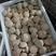 河南封丘精品鲜香菇大量供货可视频看货新鲜采摘欢迎咨询