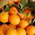 中华红橙湖北秭归橙子产地直发一手货源全国发货