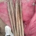 河北双棒二级山药，现货现挖，全国代发，一手货源