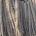 河北双棒二级山药，现货现挖，全国代发，一手货源