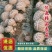 精品花菇已上市望新老客户订购，质优价廉