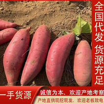 湛江红薯西瓜红，产地自销，全国发货，大量批发货源充足