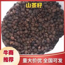 江西油茶籽自然生产产地直发质量保证对接批发市场欢迎咨询