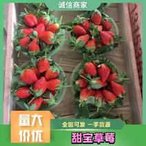 【精品】甜宝草莓套袋免洗草莓常年对接各大商超