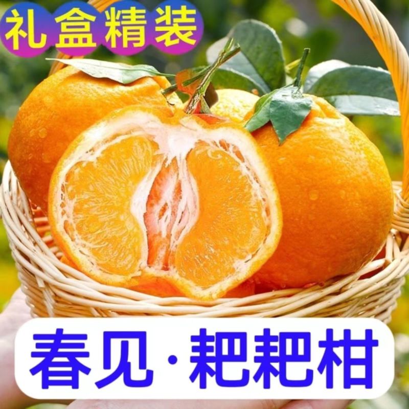 四川春见耙耙柑甘甜爆汁坏烂包赔可视频看货全国发货