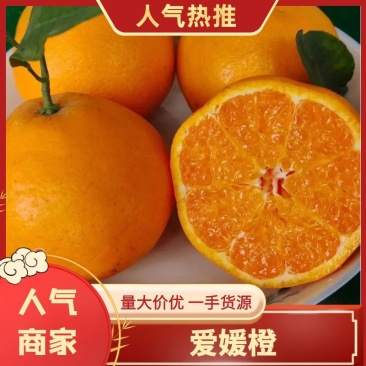 【四川爱媛橙】精品爱媛橙/四川果冻橙/皮薄汁多便宜