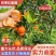 四季红蜜桔产地直发皮薄多汁对接全国市场