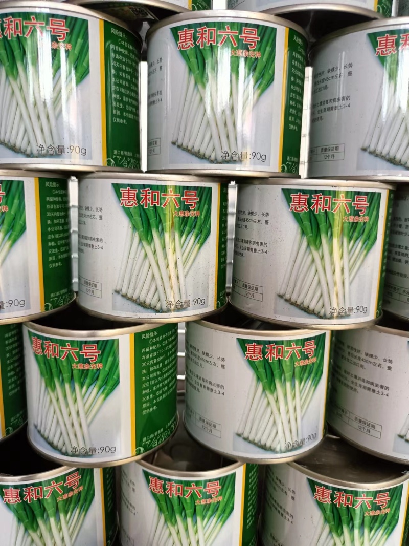 铁杆葱籽，大葱种子，香葱种子，钢葱种子，葱种子，葱种