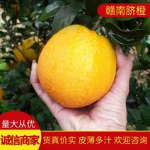 【橙子】赣南脐橙大量供应皮薄多汁量大从优欢迎咨询