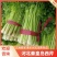 西芹【精品】芹菜万亩产地直发，品质保证，欢迎电联选购
