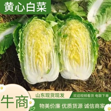黄心白菜，颜色绿，质量好，货源充足，保质保量，物流方便