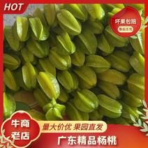 广东杨桃大量供应，货源充足，鲜嫩爽口，质量保证！