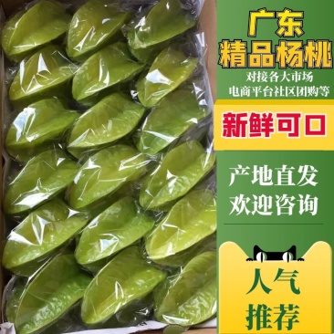 广东精品杨桃，口感好规格全，欢迎电商团购老板合作
