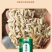黄瓜籽粉500克一罐