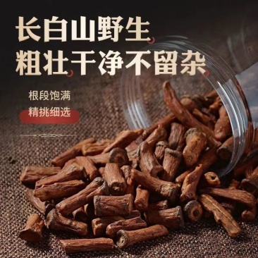 蒲公英根吉林白山
