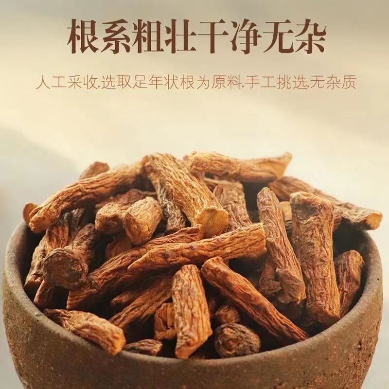 蒲公英根吉林白山