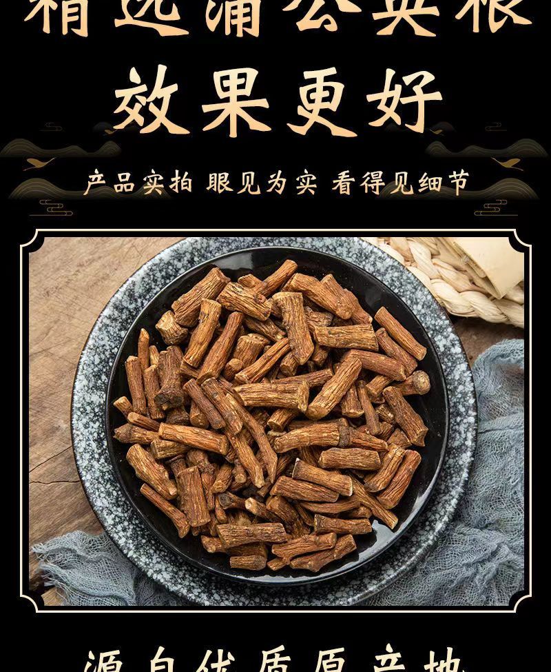 蒲公英根吉林白山