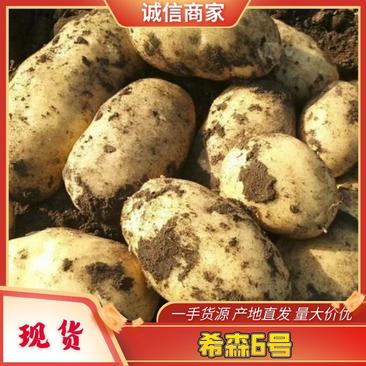 希森6号黄心大土豆现挖现发品质保证量大优惠欢迎咨询