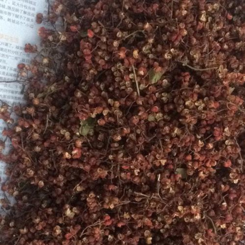 山西山地大红袍毛椒头茬新货特麻特香产地直发质量保证