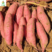 湛江优质红薯西瓜红，产地大量批发，市场电商货