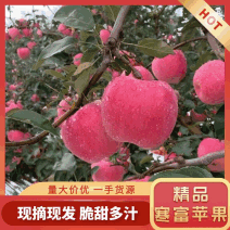 精品寒富世界一看看个头皮毛颜色好不好大量有货想要的联系
