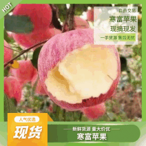 【精品】寒富苹果大量上市了个大颜色全红口感脆甜大量有货