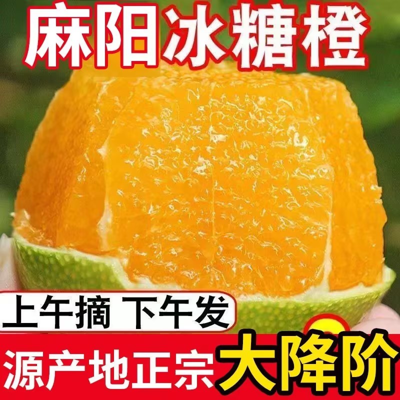 【现货速发】麻阳冰糖橙爆甜多汁规格多样量大从优电联