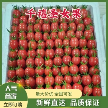 【精品优选】广东电白千禧圣女果产地直供可视频看货