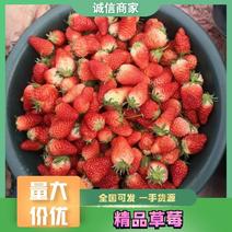精选草莓大量现货产地直发保质保量对接各大电商批发商