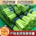 金乡红帽蒜苔代发市场电商供货精加工常年供应