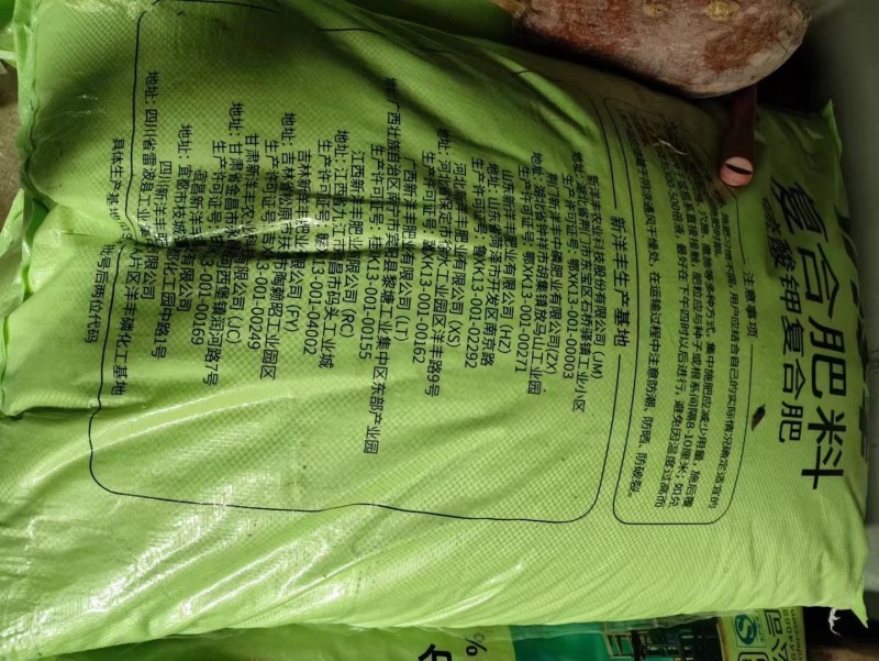 广东清远优质西洋菜种苗基地直发货量充足稳定