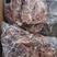 【熟羊肉】羊肉原味无添加鲜肉现煮真空包装厂家直发质量保证