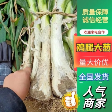 优质鸡腿大葱现摘现发保质保量一手货源可供全国