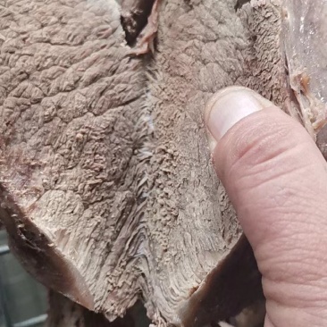 【卤牛肉】牛前腿肉卤味八分熟肉质鲜嫩量大优惠欢迎来电咨询