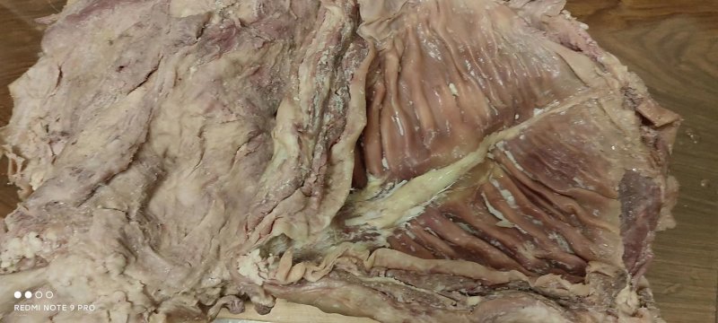 【卤牛肉】牛前腿肉卤味八分熟肉质鲜嫩量大优惠欢迎来电咨询