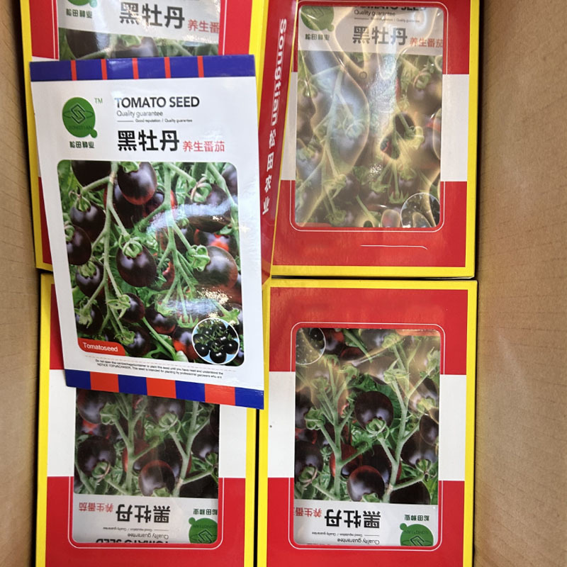黑番茄种子黑牡丹黑番茄种籽香甜多汁瀑布小圣女果樱桃西红柿