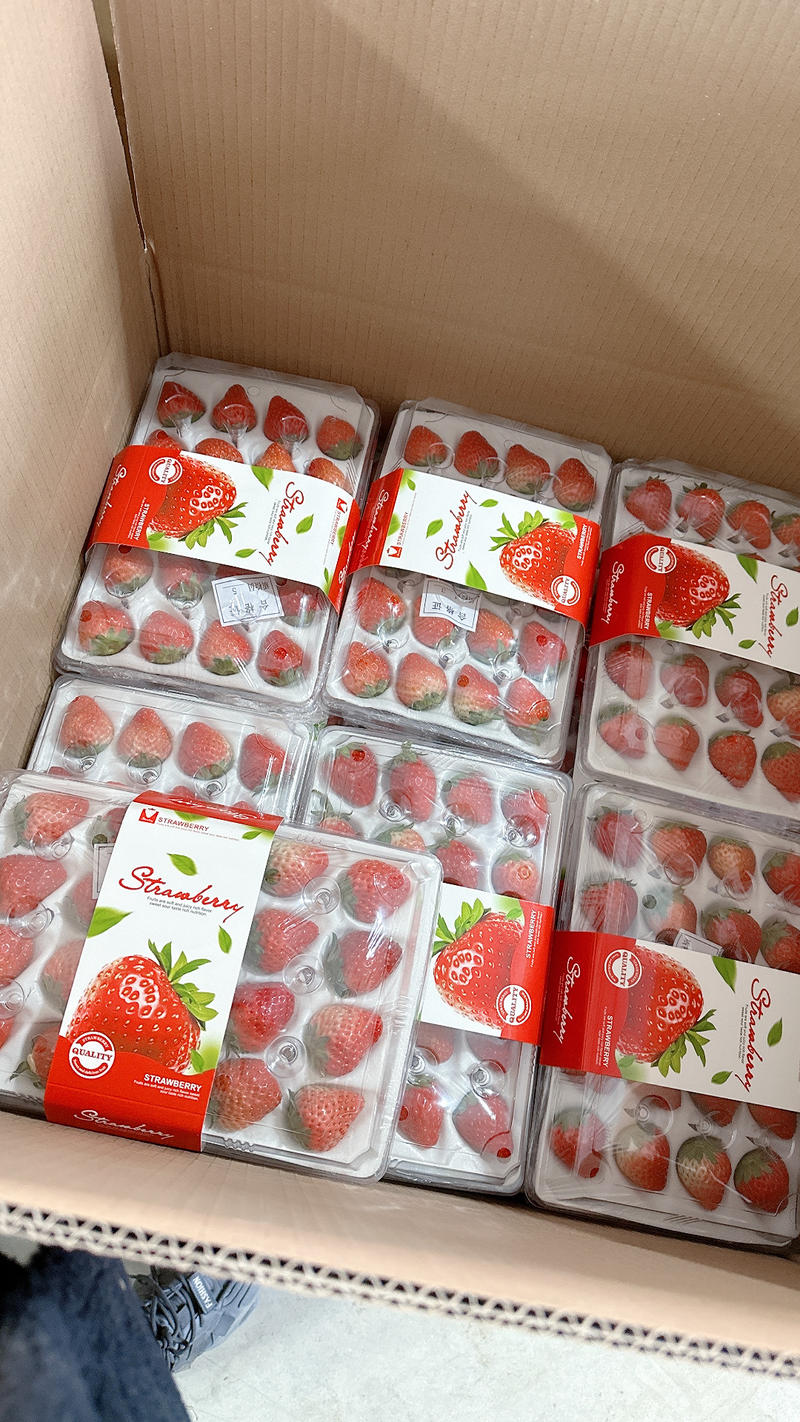 丹东东港草莓产地直发按需包装量大从优欢迎咨询